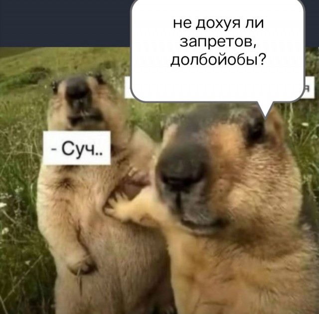 В России призвали запретить продажу алкоголя с декабря до окончания новогодних каникул