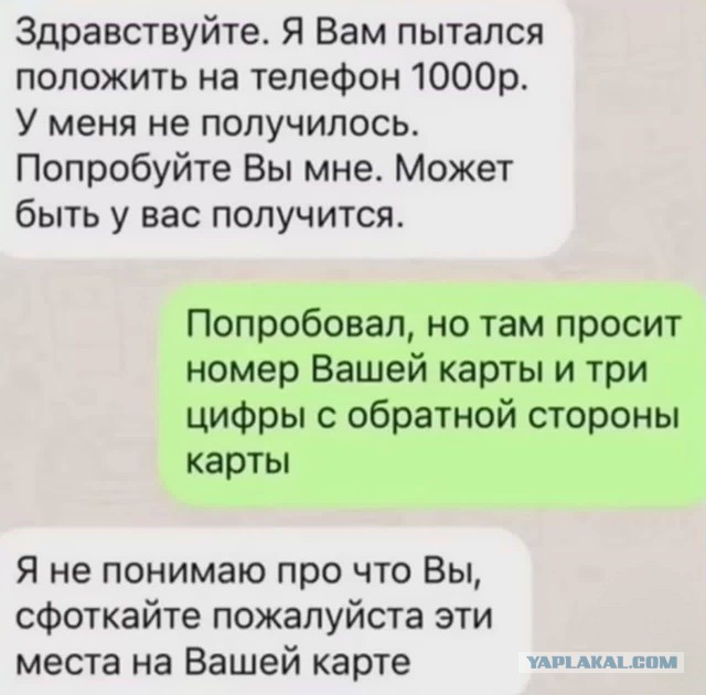 Так себе картинки 06.12.25