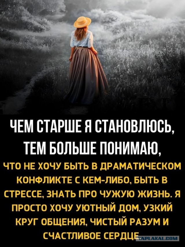 Куча мала 12