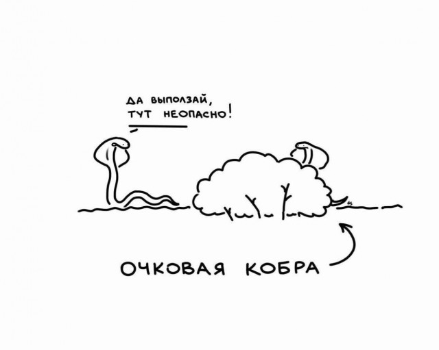 Среды картинки