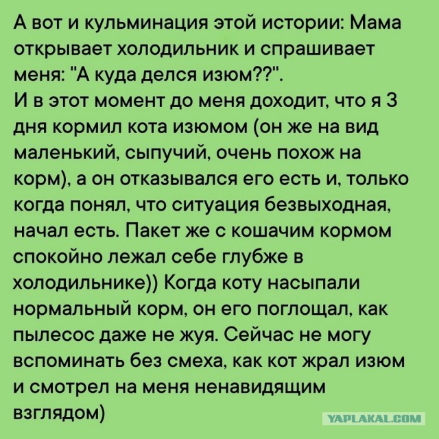 Так себе картинки 22.03.26