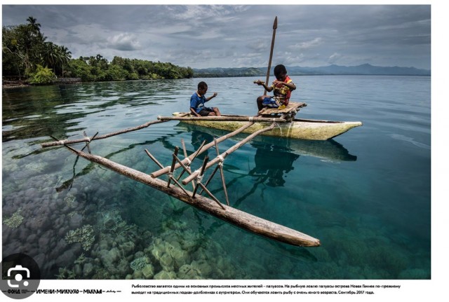Легким движением руки пальмовый ствол превращается... в 2 лодки