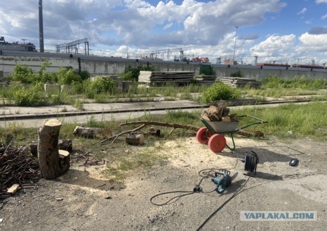 Страна победившего балабольства