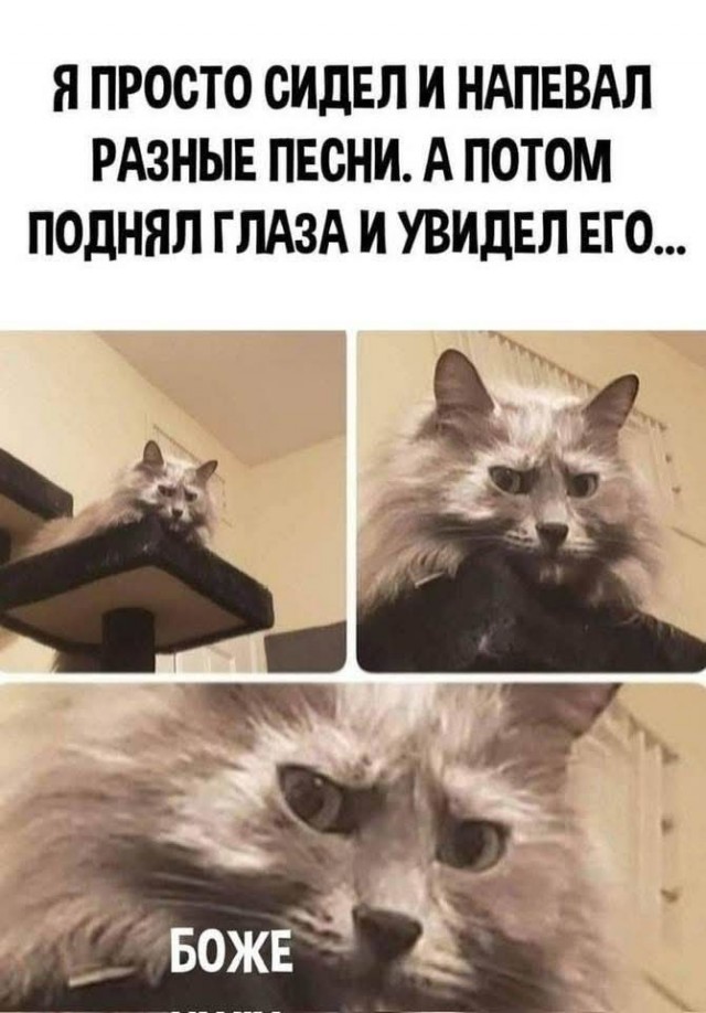 Если жизнь дала тебе лимон — сделай лимонад. Если жизнь дала тебе помидор — не пытайся сделать лимонад