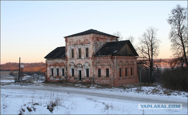 Цвет Зимы