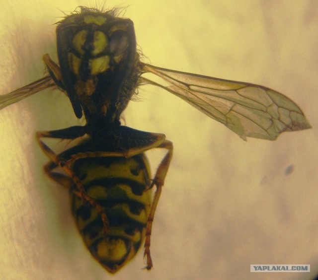 Бытовые предметы очень крупным планом