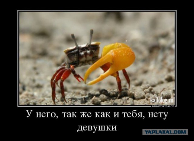 Кажется, я знаю, кто сп...ил мои анаболики