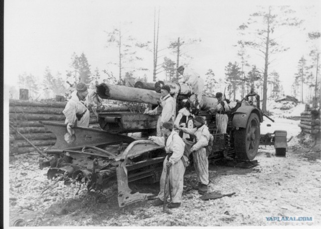 Блокадный Ленинград 1943 год