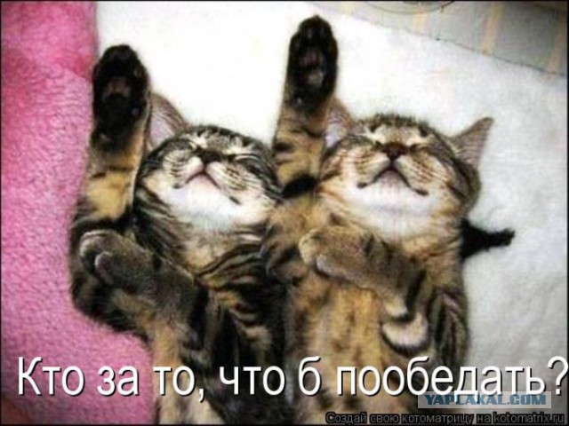 Добряки, плюсующие всех подряд