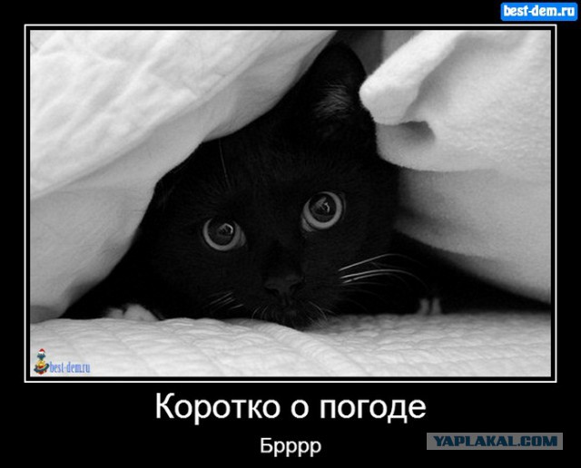 Добряки, плюсующие всех подряд