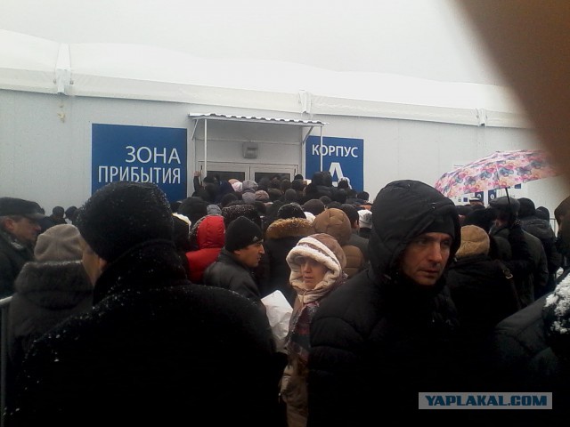 Мигранты — о том, почему они больше не хотят жить