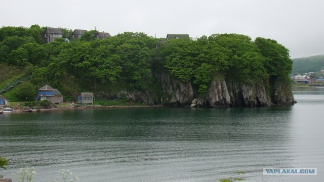 Китайские пляжники