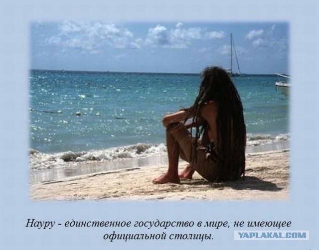 Интересные факты о разном