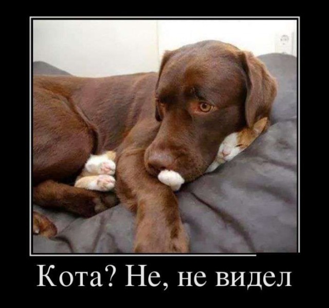 Подборка прикольных фото на пятницу