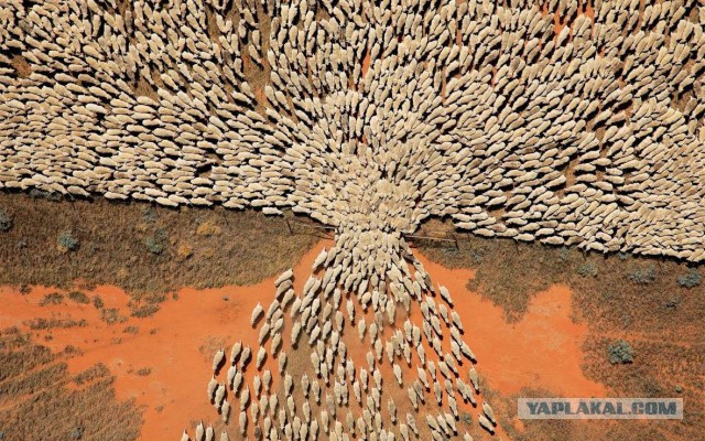 Чёткие ребята