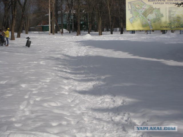 Потемкинские березки