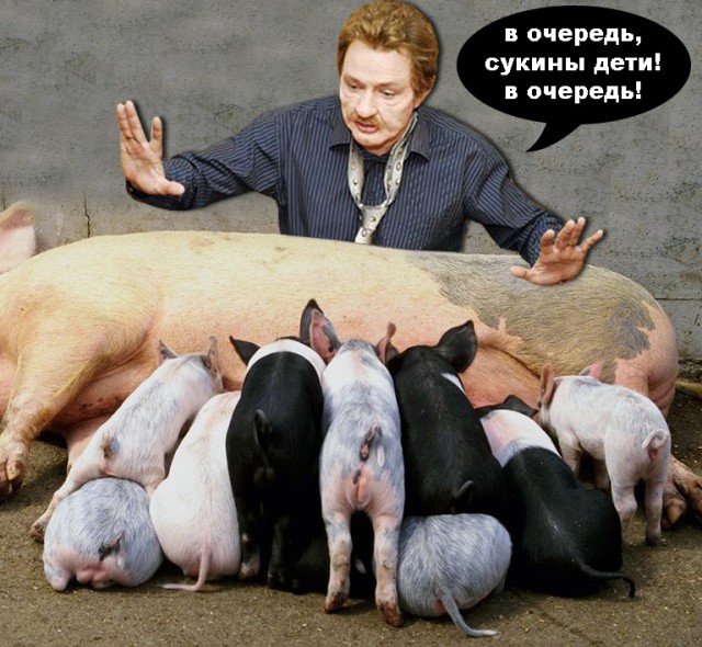 Фотожаба: Контракт на Любовь