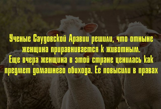 Порция бреда и абсурда к пятнице