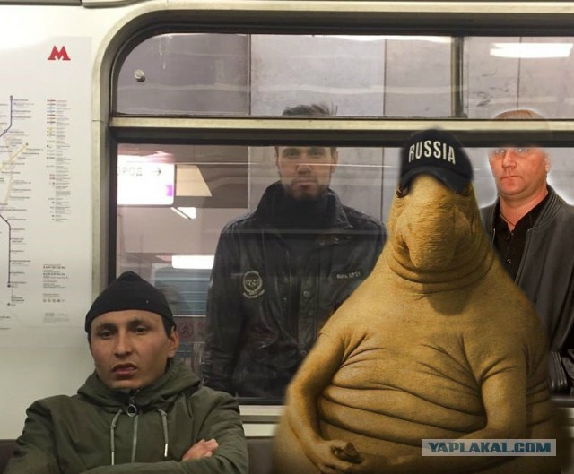 Московские размышления московского москвича