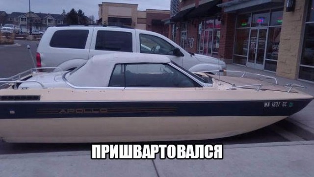 Подборка безудержного веселья