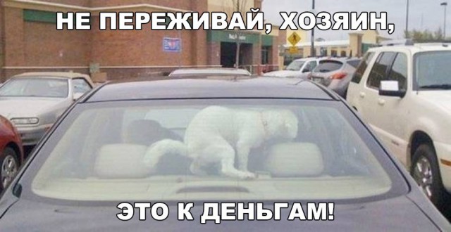 Смешные картинки