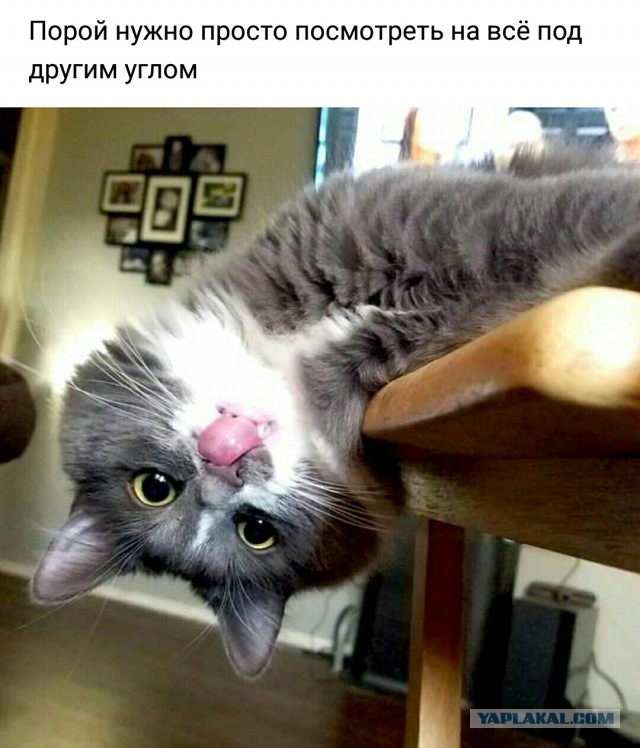 Точка бифуркации пройдена...