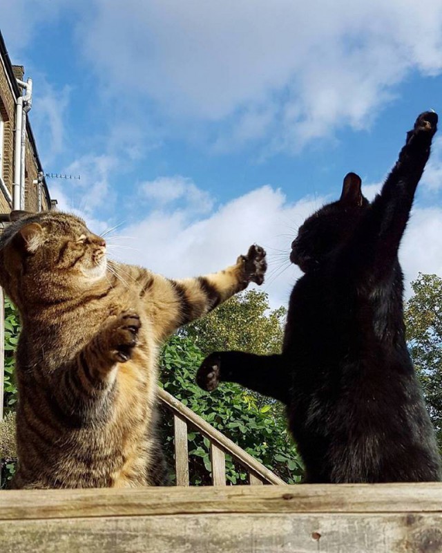 Подборка интересных и веселых картинок