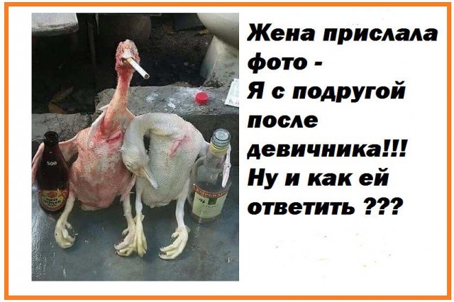 Алкогольный юмор 18+
