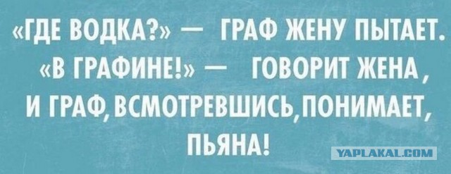 Поклонской хотят присвоить титул графини после отказа голосовать за пенсионную реформу