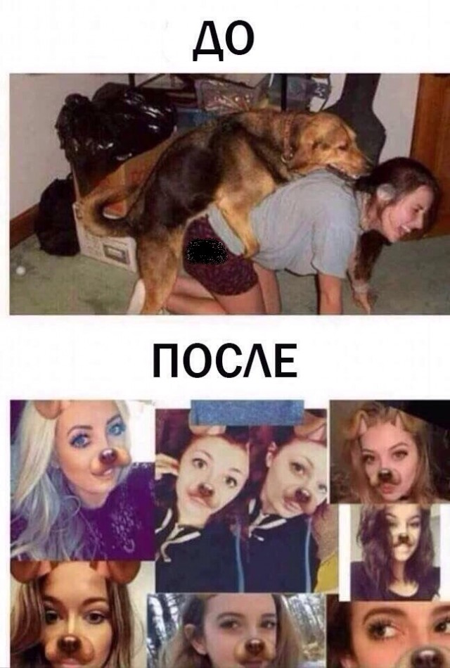 Слегка аморальный и лютый юмор. Только для ценителей