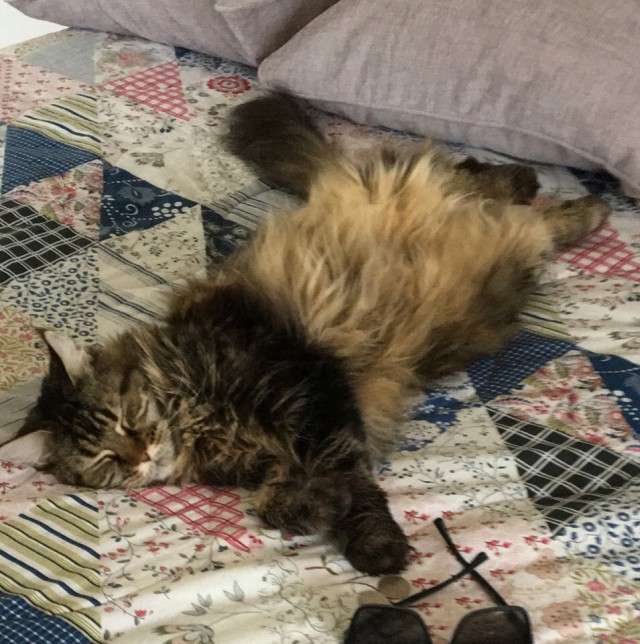 Немного милоты