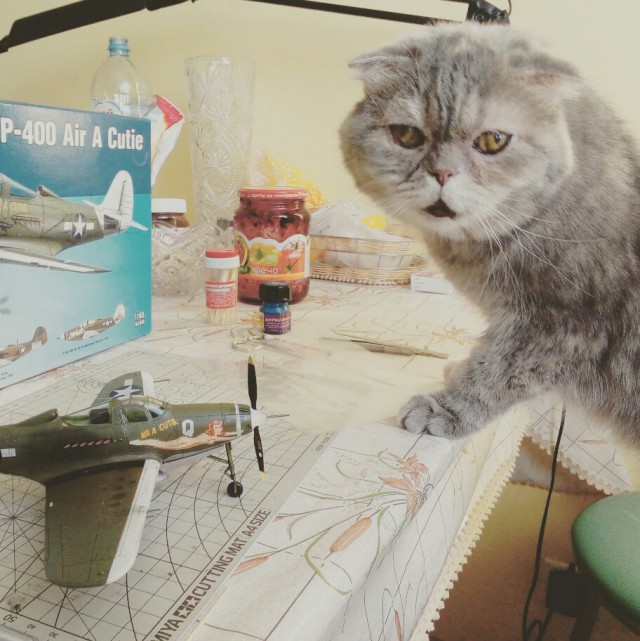 Милоты пост
