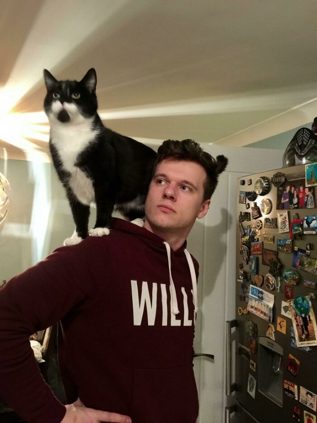 К - Котогеничность