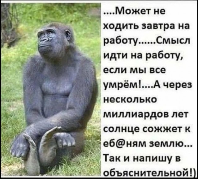 Кретинизмы из сети 01.03.21