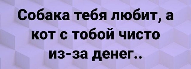 Баянисто-небаянистый юмор 3.03.21