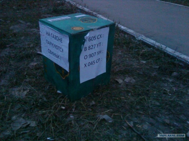 СтопХам Спб - Большие неприятности