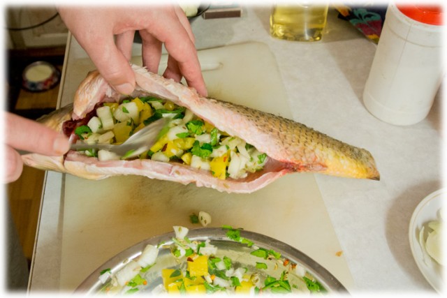 International одной книги., В память о Дженибеке.