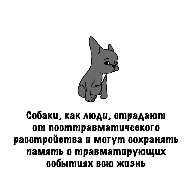 Картинки на субботу