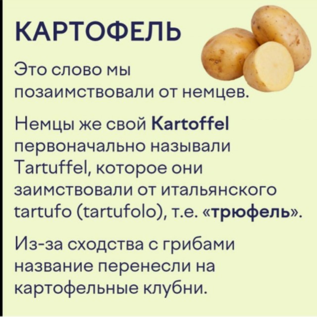 О  женской подлости. Цинизм и расчёт