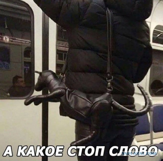 Картинки аморальные и всякие разные - 25