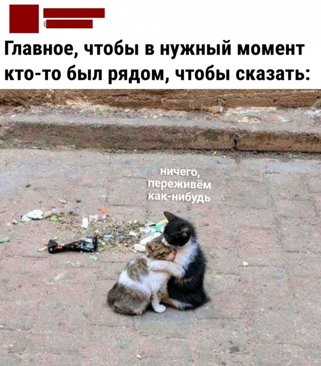 Так себе картинки 04.04.22