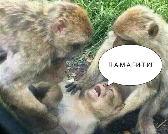 всё, блять, я понял