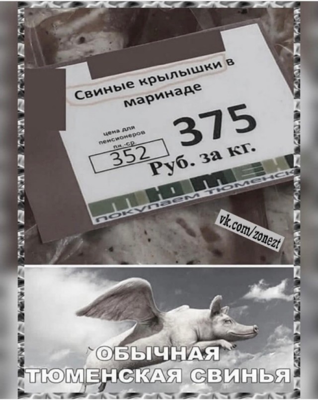 Весёлый полтишок 30.11.22