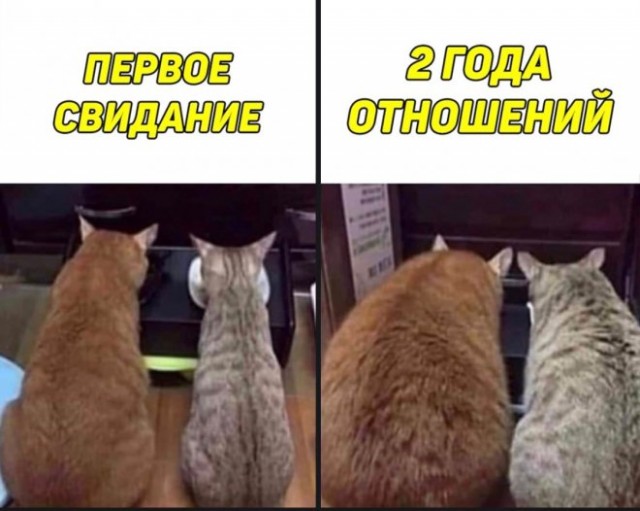 Немного картинок для настроения - 129
