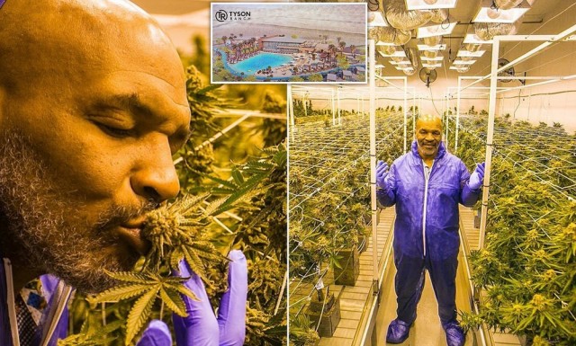 Не вдую, так хоть накурюсь