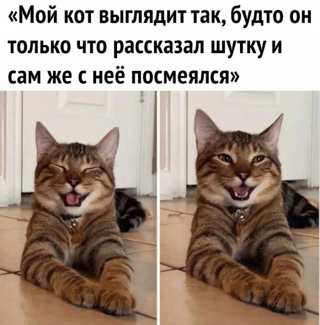 Немного картинок для настроения - 177