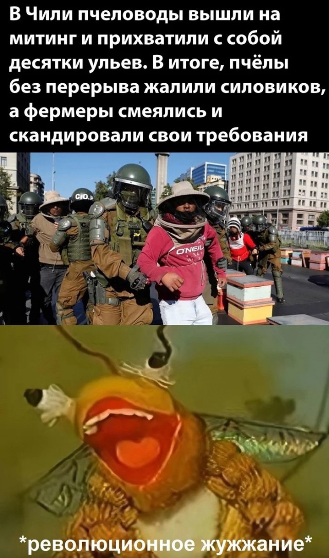 Народная меДИЧина 6002