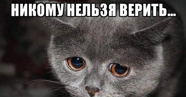 Британская порнозвезда оказалась девственницей