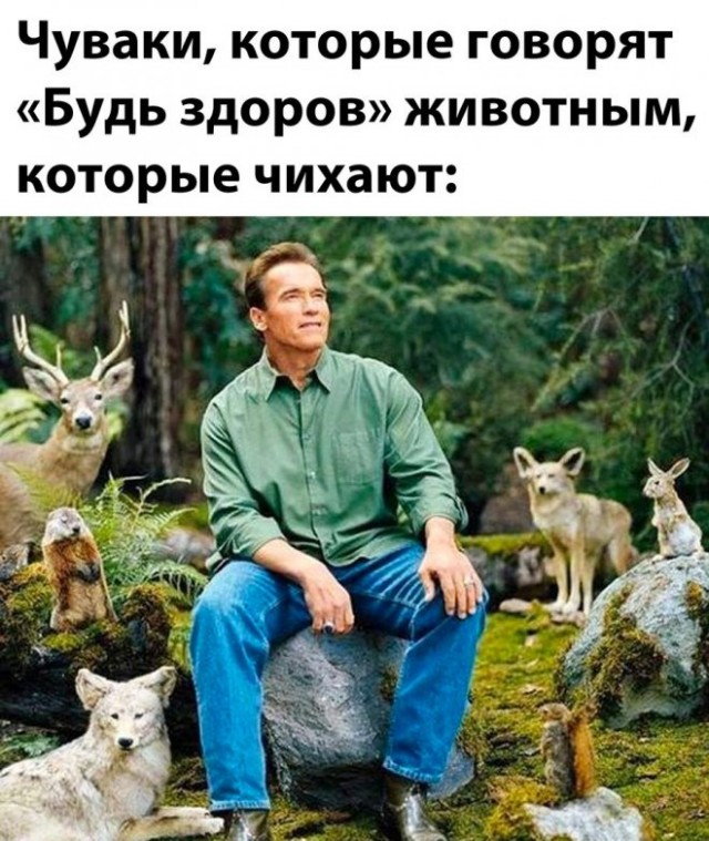 Юмор в картинках и без