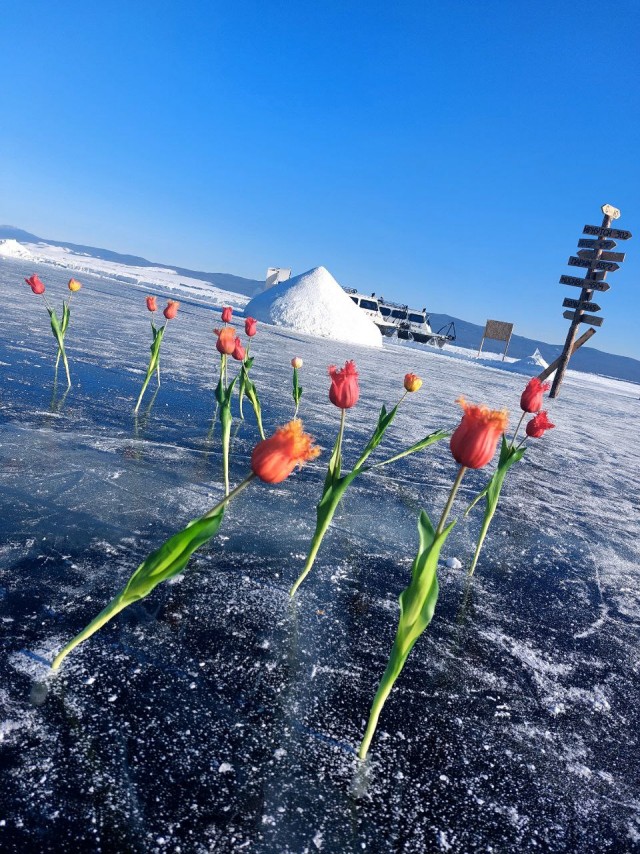 Байкал (и чуть-чуть Бурятии) в феврале